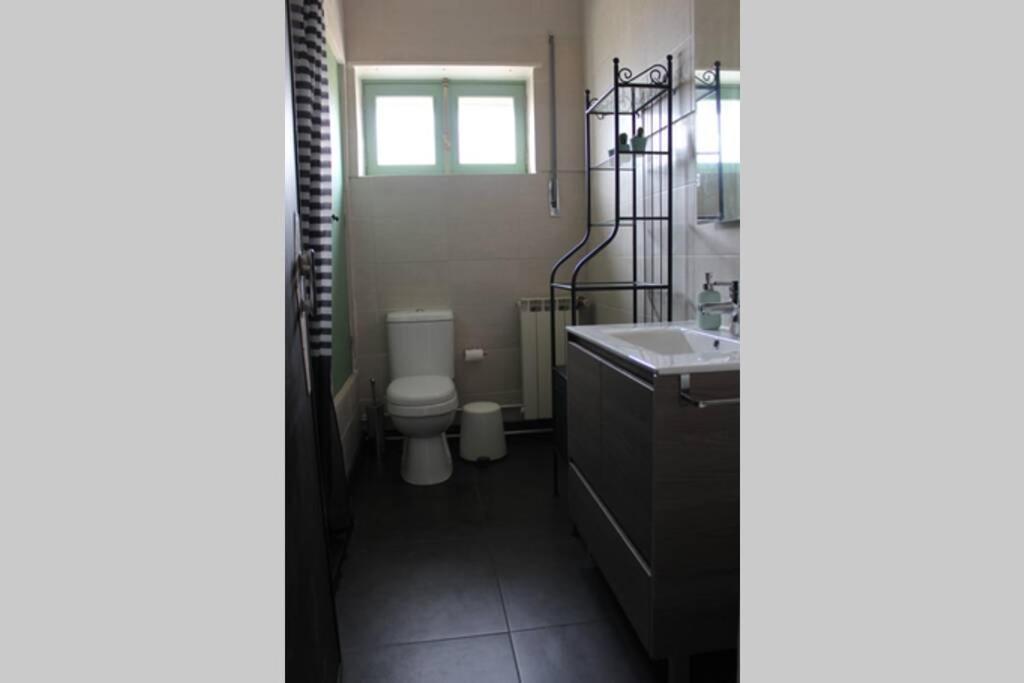 Villa House With Pool And Garden In Esmoriz Near Porto Extérieur photo